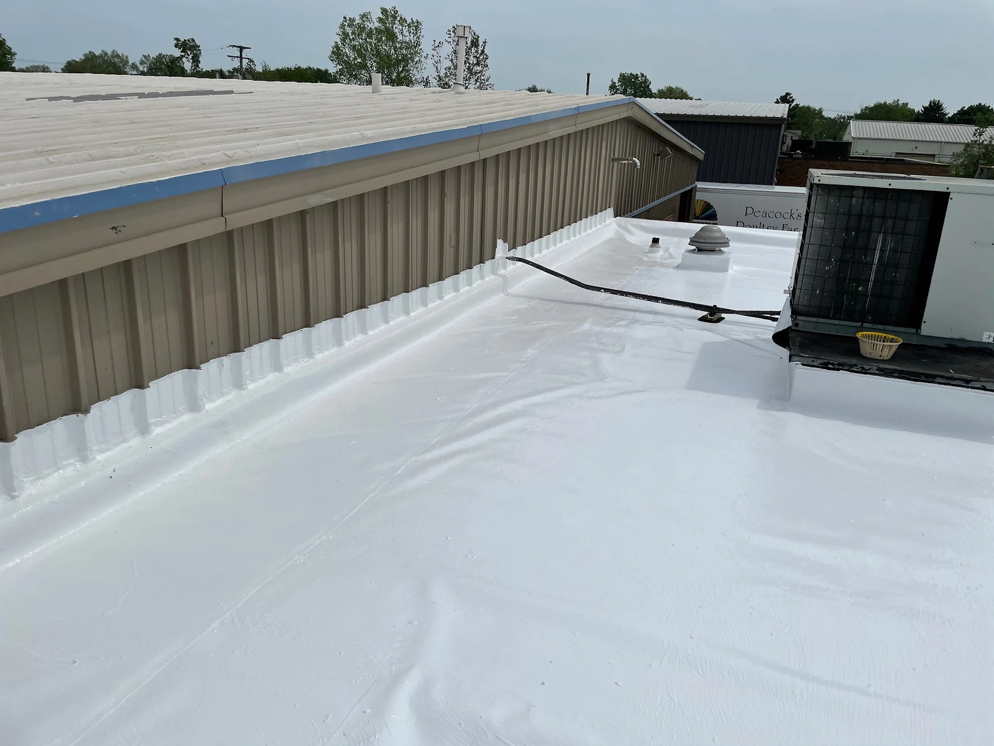 Commercial Roof Coatings in Albany